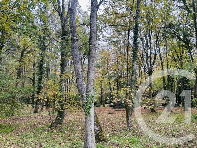 Appartement T3 à louer - 2 pièces - 50.98 m2 - LEOGNAN - 33 - AQUITAINE - Century 21 Talent Immobilier